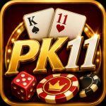 pk11 game
